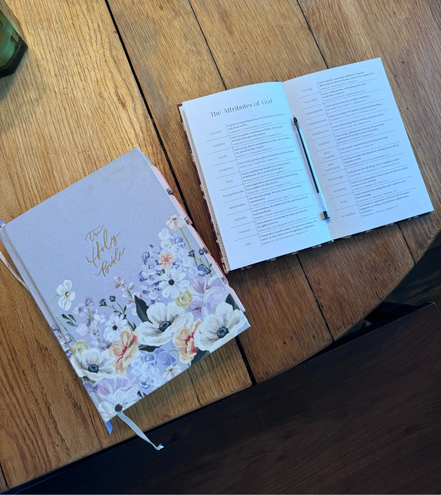 Bible journal for 2025 ✨

#LTKFindsUnder50 #LTKFamily #LTKSaleAlert
