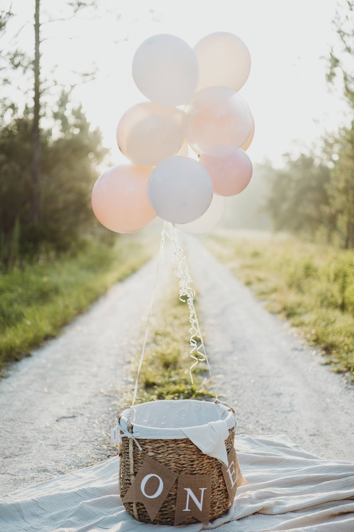 First birthday photoshoot 🥹 we just got Kollins birthday pictures back and we are less than 4 days away from her turning 1 year old. To say that I am unwell would be an understatement 
.
.
#oneyearphotos #smashcake #birthdayphotos #babyphotos #familyphotos #birthdayideas #firstbirthday #firstbirthdayphotos 

#LTKStyleTip #LTKFamily #LTKBaby