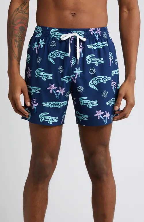 Chubbies Classic Lined 5.5-Inch Swim Trunks in The Neon Glades at Nordstrom, Size Small | Nordstrom