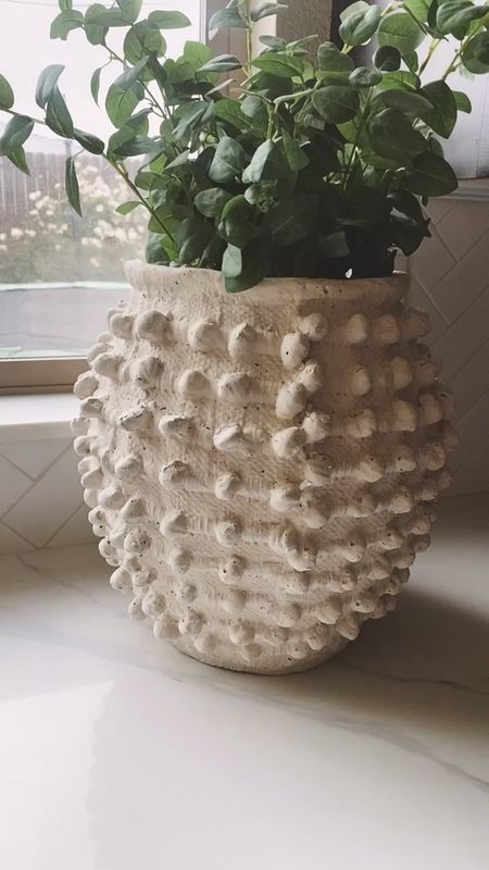 Best selling textured pot
Also linked an Amazon dupe
I have a size large but comes in a small and medium 
Love the texture, great quality 

summer home, summer patio, home finds

#LTKHome