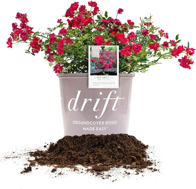 Red Drift 3 Gallon | Amazon (US)