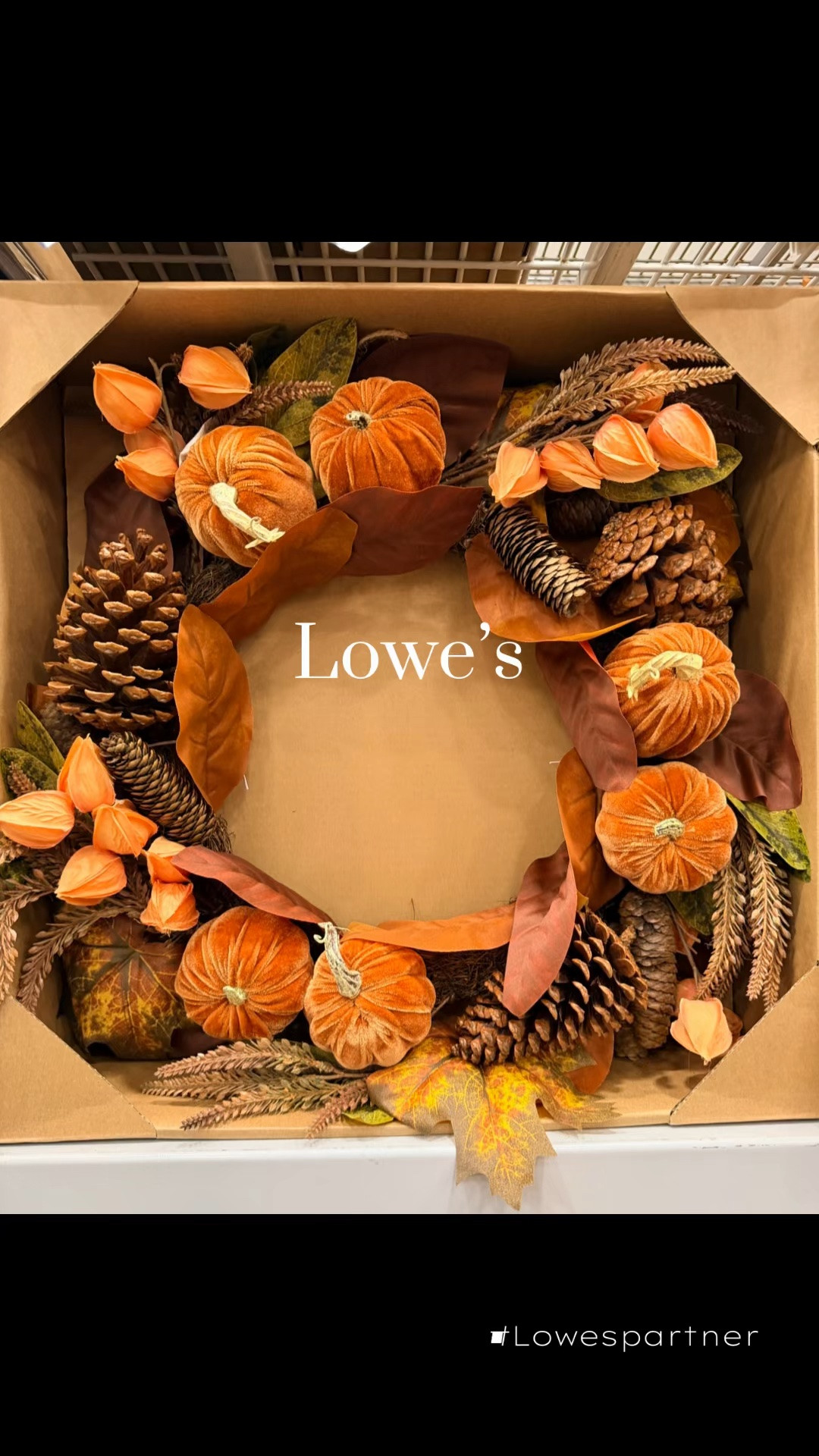 🍂 Fall  has arrived @lowes! 🍂

If you’re ready to give your home that cozy autumn glow, these Lowe’s fall finds are worth checking out! From seasonal décor to those little touches that instantly make your space feel warm and inviting—there are SO many good finds. 🧡

✨ Shop my picks and start decorating for fall!

https://shoplowes.me/3TQgIGK

#lowespartner #ad #FallDecor #FallFinds #HomeDecor #LoweFinds

#LTKHome