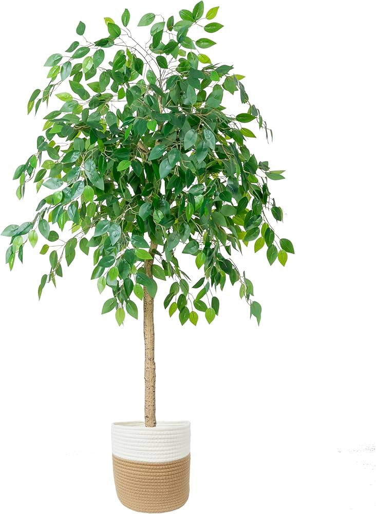 Homeplants Artificial Ficus Tree, 6ft Fake Ficus Leaves Plant with Woven Basket, Perfect Silk Tre... | Amazon (US)