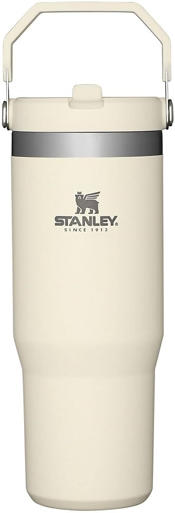 STANLEY IceFlow Stainless Steel Tumbler with Straw - Vacuum Insulated Water Bottle for Home, Offi... | Amazon (US)