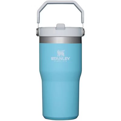 Stanley 20oz Stainless Steel IceFlow Flip Straw Tumbler | Target