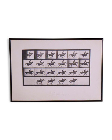24x36 Vintage Horses Framed Wall Art | TJ Maxx