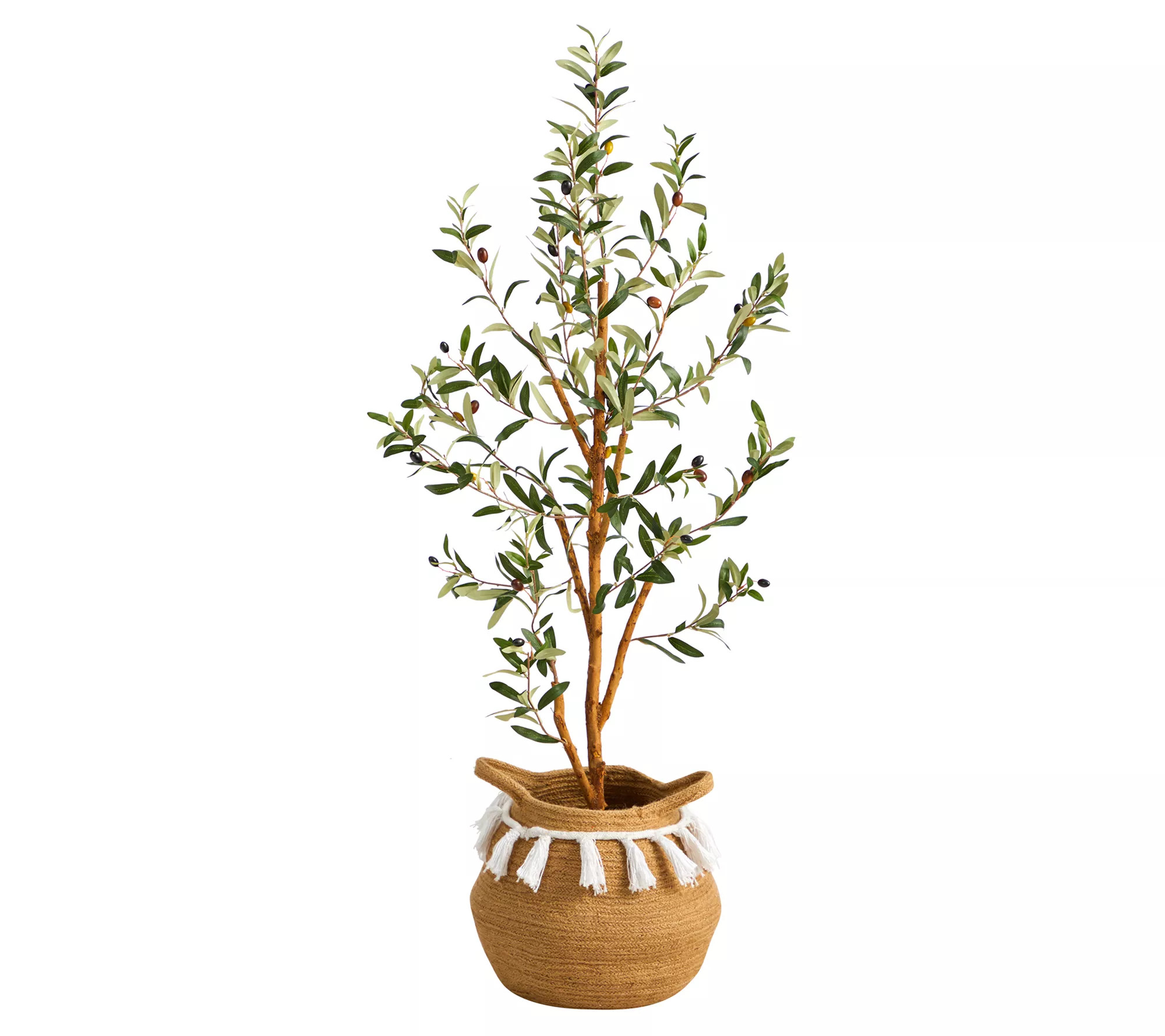 Make Your Selection: Nearly Natural 3.5-ft Artificial Olive Tree witBasket | QVC