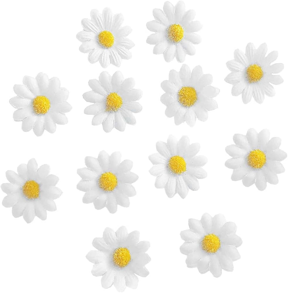 [12 Packed] Women Sweet Flower Side Hair Clip Beach Wedding Flower Bridesmaid Hair Accessory (Whi... | Amazon (US)