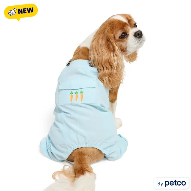 YOULY Easter Pet Overalls, Small | Petco