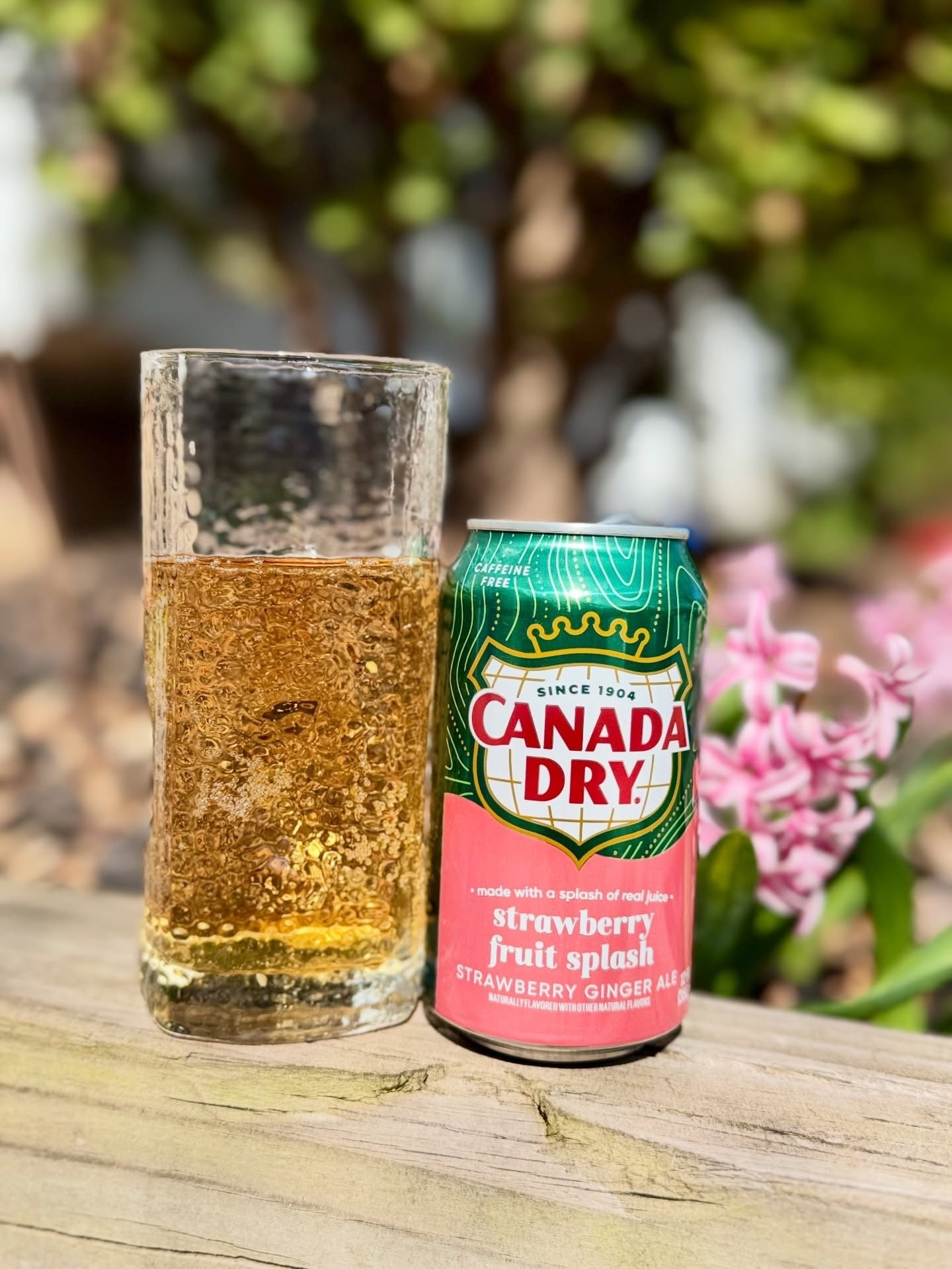 I have always loved Canada Dry Ginger Ale, and the Strawberry Fruit Splash is my new favorite. It is refreshing with a light strawberry flavor. Perfect if you want something bubbly or in a mocktail.

@influenster @canadadrygingerale #complimentary 

#LTKmomlife #LTKOver40 #LTKfoodie