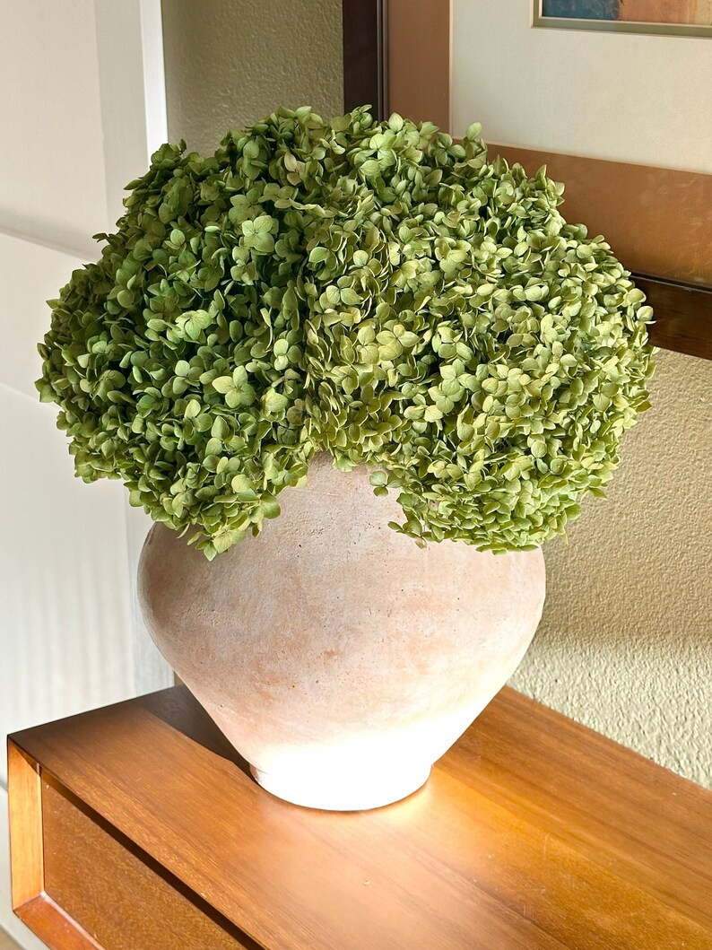 Real Preserved Large Spring Green Hydrangea - Etsy | Etsy (US)