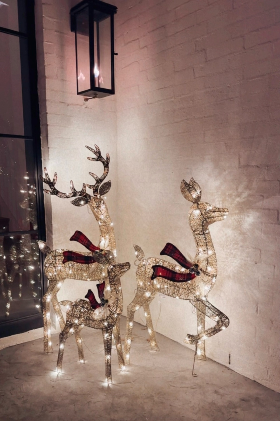 Family set of 3 LED glittering deee family!

#LTKHome #LTKHoliday #LTKSeasonal