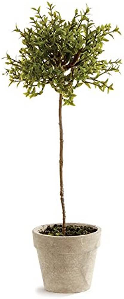 NAPA Home & Garden Thyme Topiary 13" | Amazon (US)