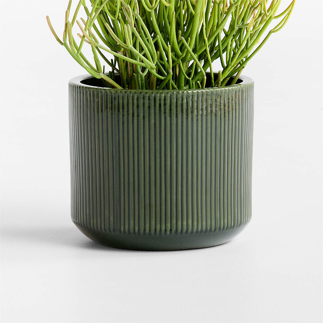 Tulu 11.02" x 12.60" Green Indoor/Outdoor Ceramic Planter | Crate & Barrel | Crate & Barrel