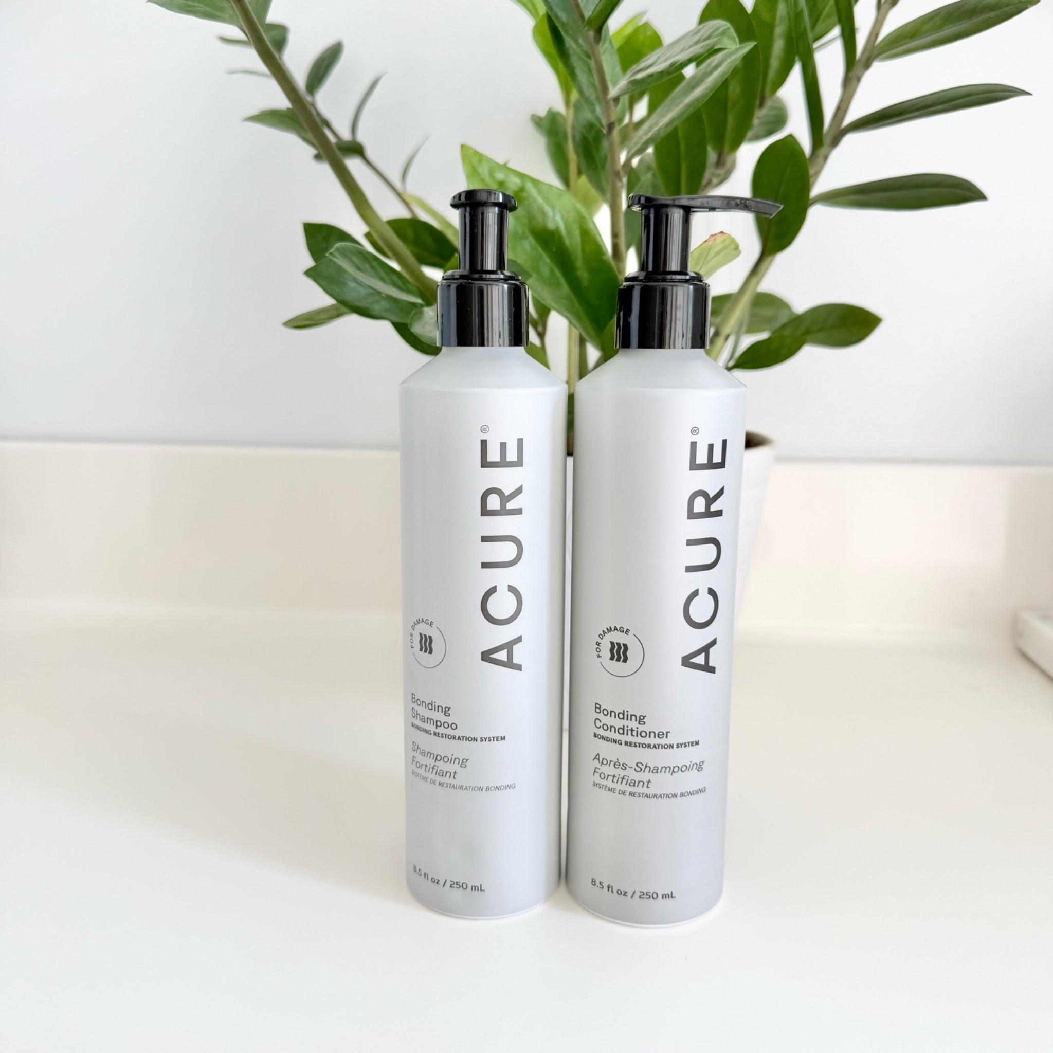 @acurebeauty Bonding Shampoo
Regularly $14.99
Sale $7.49
* Gently cleanses while reinforcing weak, brittle strands. 
* Formulated with bonding technology, argan oil, and quinoa protein to restore strength and shine. 
* Helps reduce breakage, leaving hair smooth, soft, and resilient

@acurebeauty Bonding Conditioner 
Regularly $14.99
Sale $7.49
* Deeply nourishes and detangles while helping to restore elasticity. 
* Formulated with bonding technology, argan oil, and quinoa protein to smooth and strengthen strands. 
* Reduces breakage and leaves hair soft, shiny, and more resilient

50% off @acurebeauty bond repair
Up to 25% off skincare & haircare products. Use code: MEMORIALDAY
Free shipping on $65+ orders 

#acure  #bondrepair #acuresale #shopwithmeatacure 
#sarahnicole_shopaholic

#LTKSaleAlert #LTKBeauty