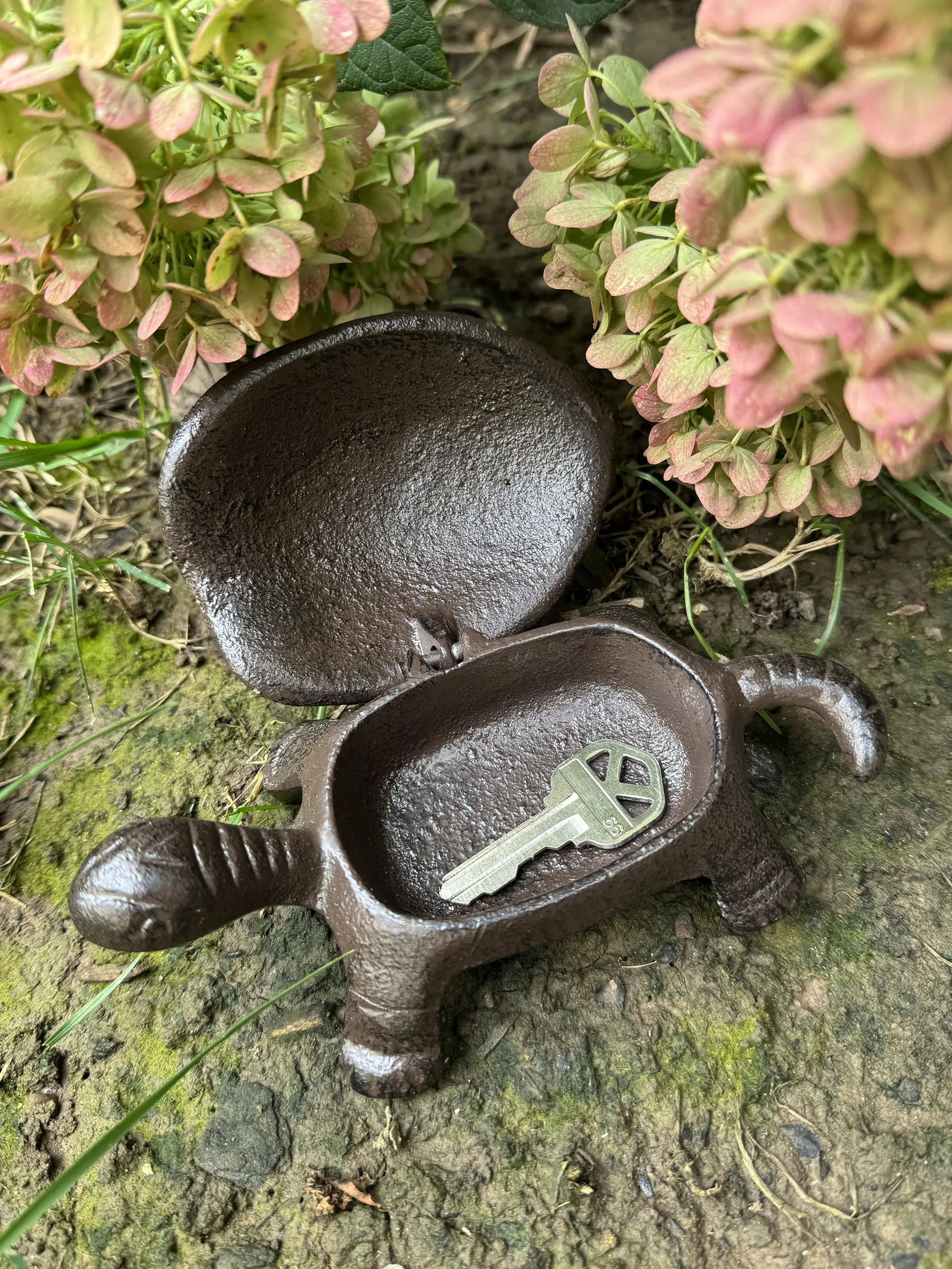 Turtle Key Box | Natural Life