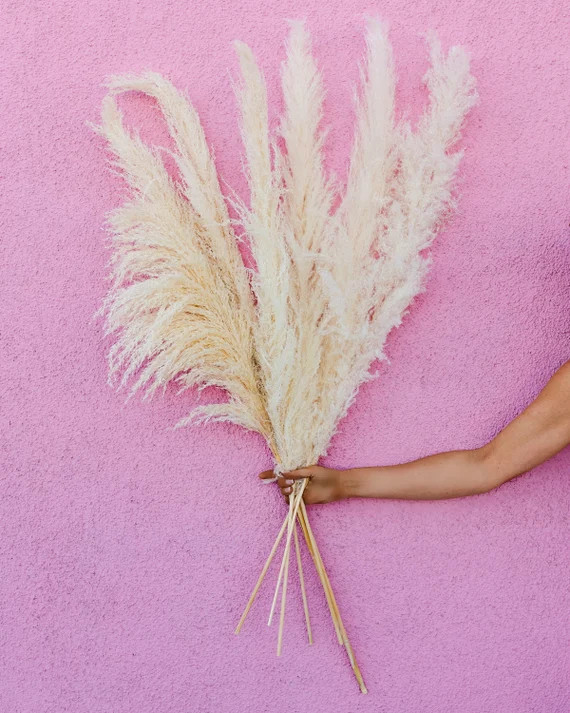 LUXE PROMO PAMPAS6 Stem 3 type 1 and 3 type 2 White Dried | Etsy | Etsy (US)