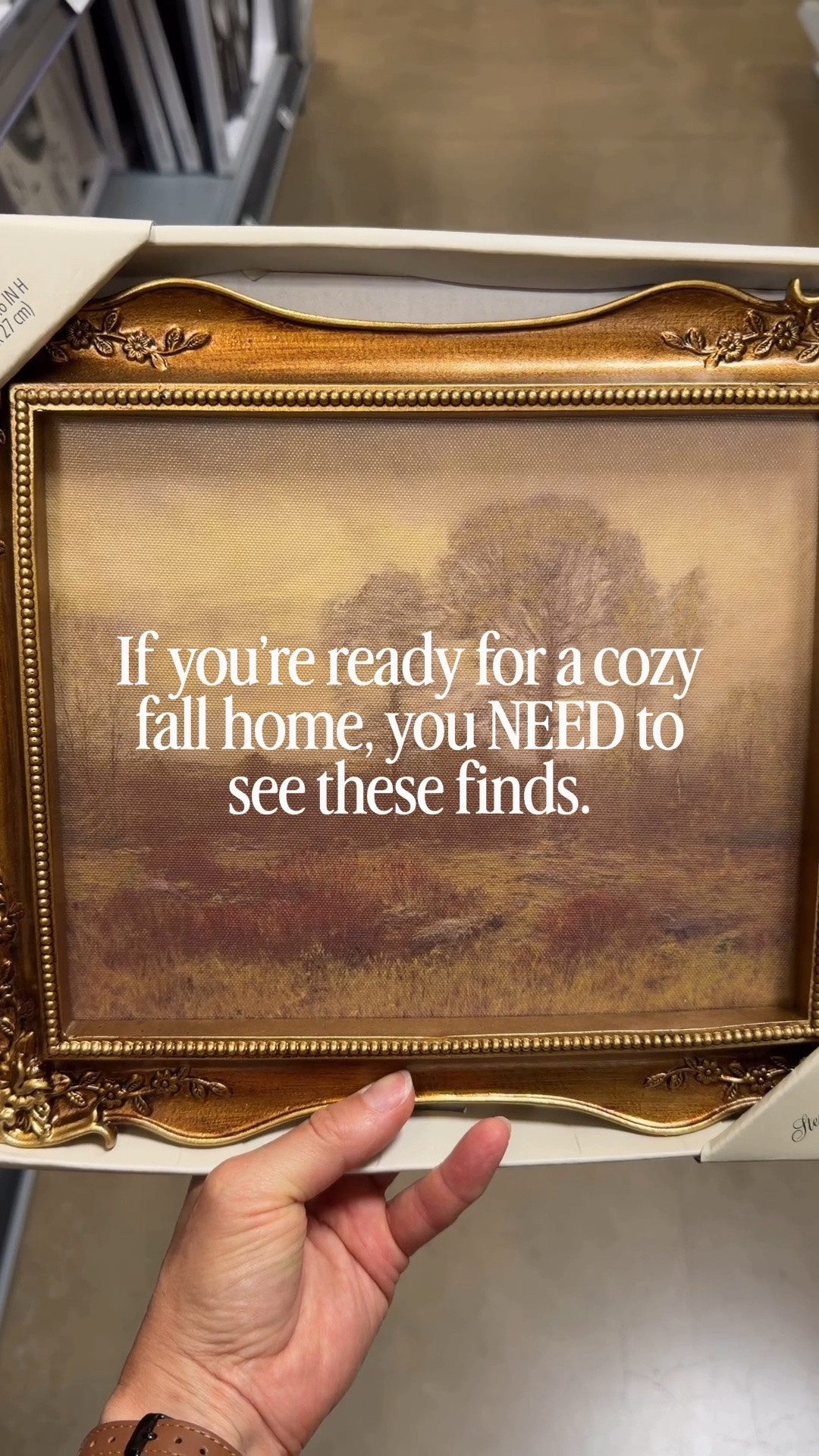 The coziest fall finds to bring a little  warmth and charm into your home. 

#falldecor #fallhome #fallfinds #cozyhome #homedecor

#LTKSeasonal