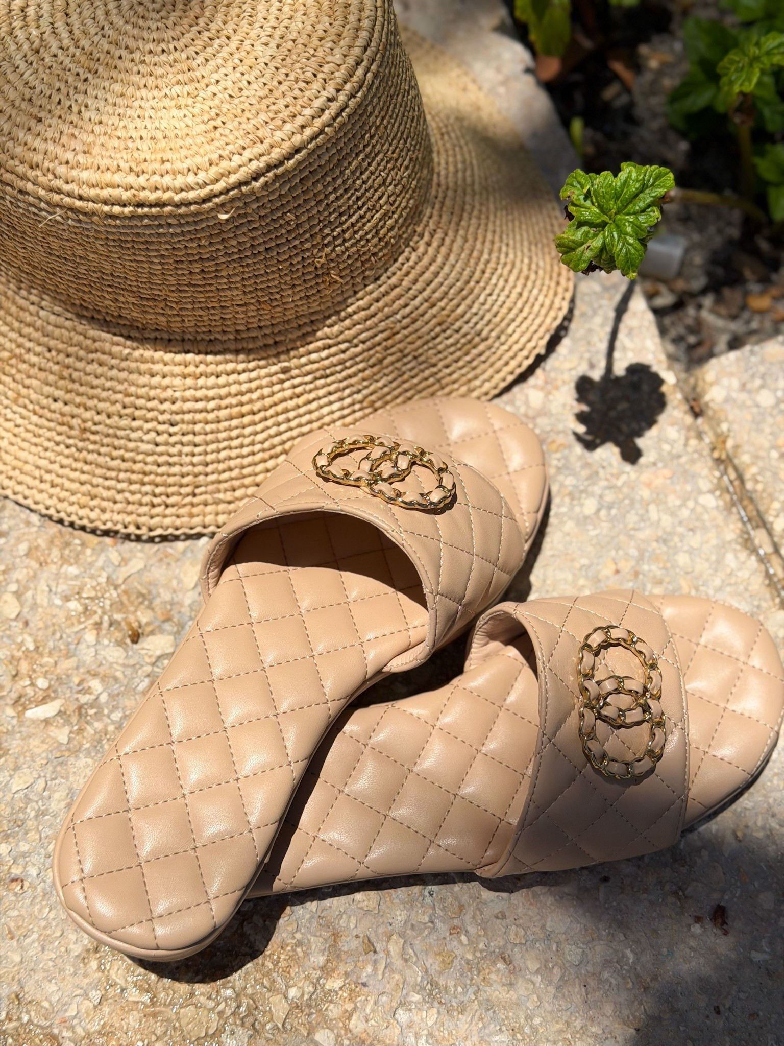 Designer inspired faves I brought on vacay 

#LTKootd #LTKTravel #LTKdayinmylife