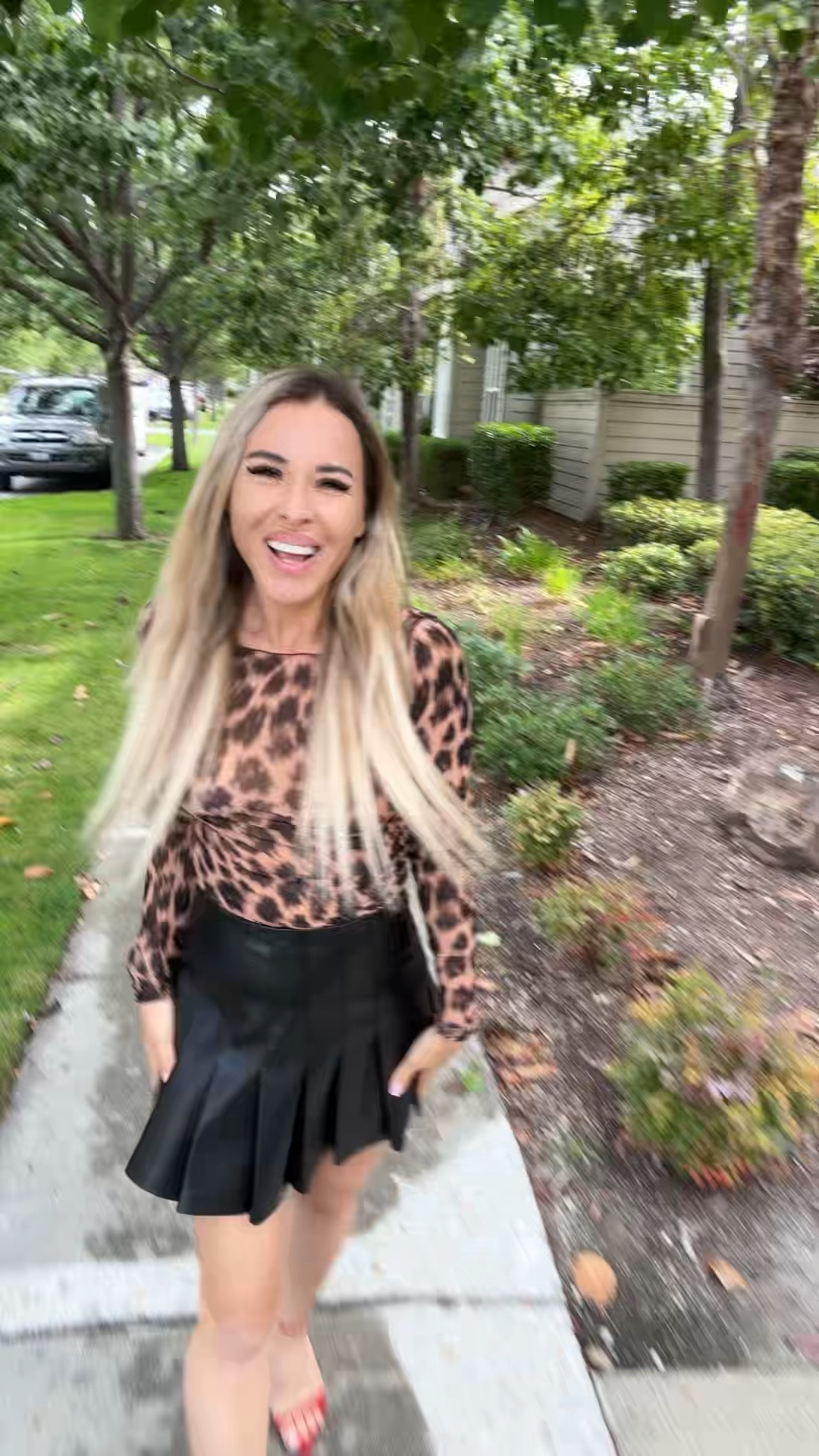 🐆