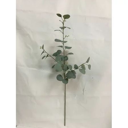 34in Eucalyptus Stem_green | Walmart (US)