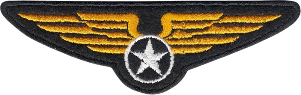 Military Wings Crest - Embroidered Iron On or Sew On Patch | Amazon (US)
