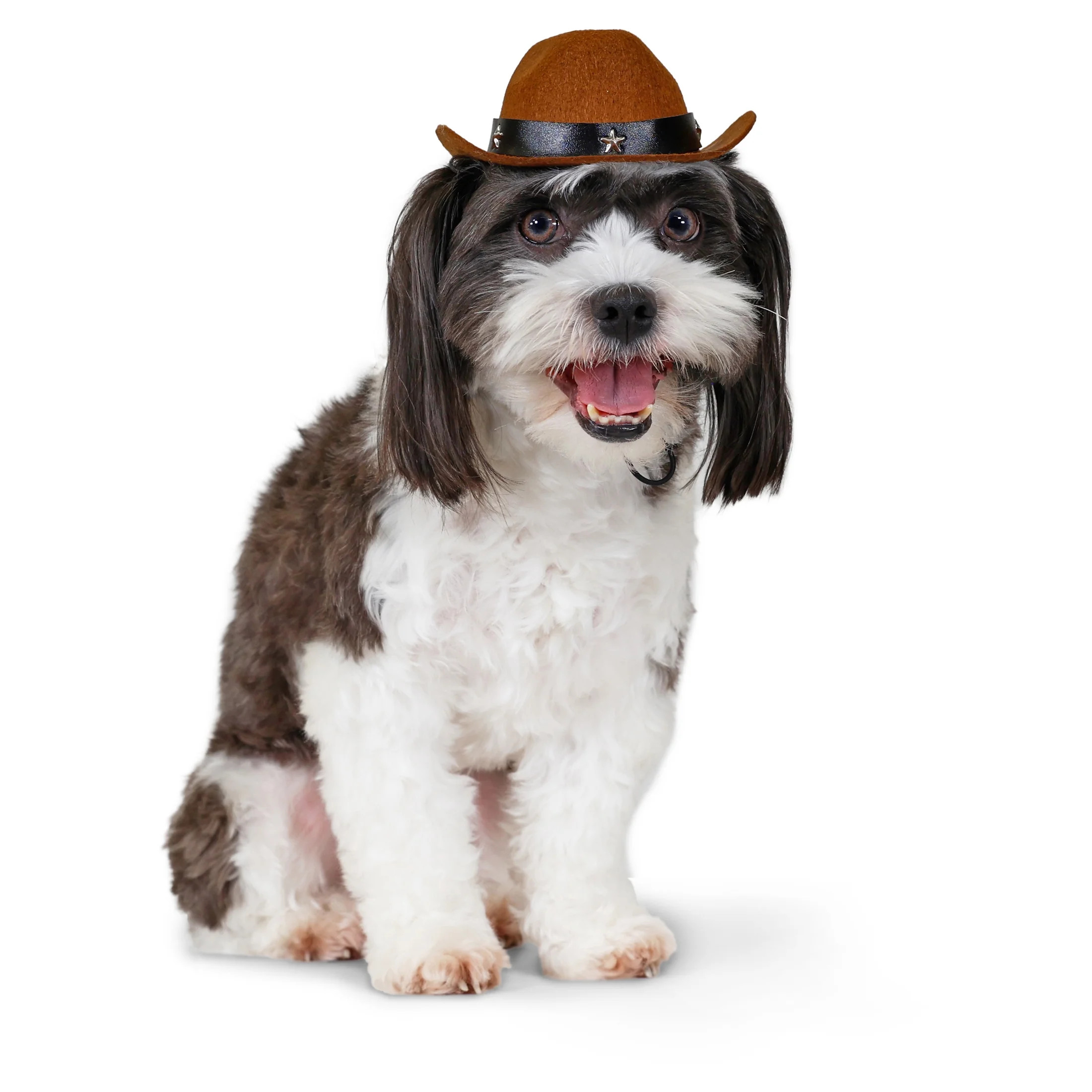 Vibrant Life Halloween Cowboy Hat Costume for Dogs & Cats, Brown, Extra Small/Small | Walmart (US)