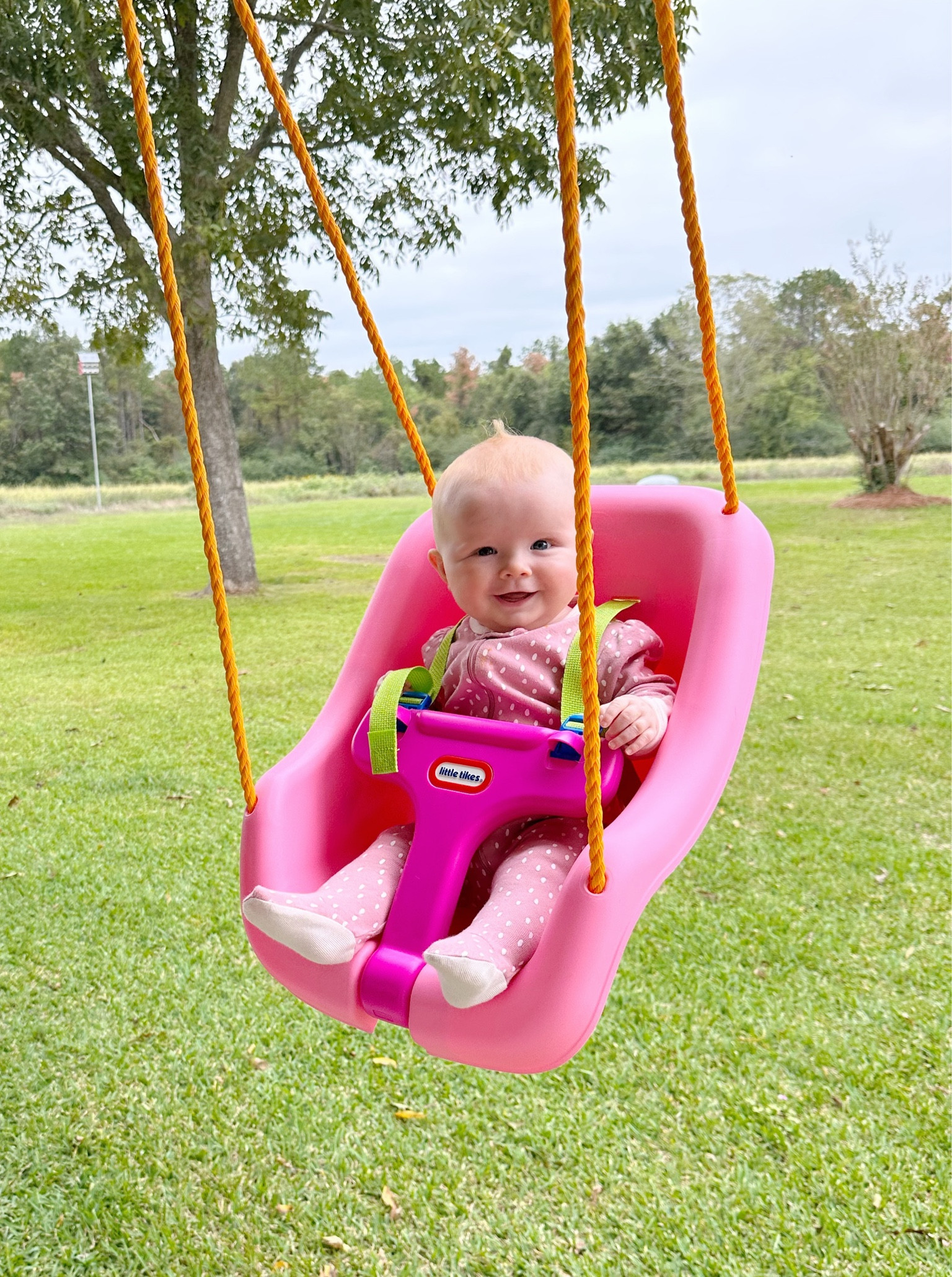 Couldn’t hold out until Christmas to get our girl her first swing 🥹 I have a feeling we’ll be out here a whole lot! These are the cutest swings with the best color combos & at such a good price! 

#LTKfamily #LTKsalealert #LTKbaby