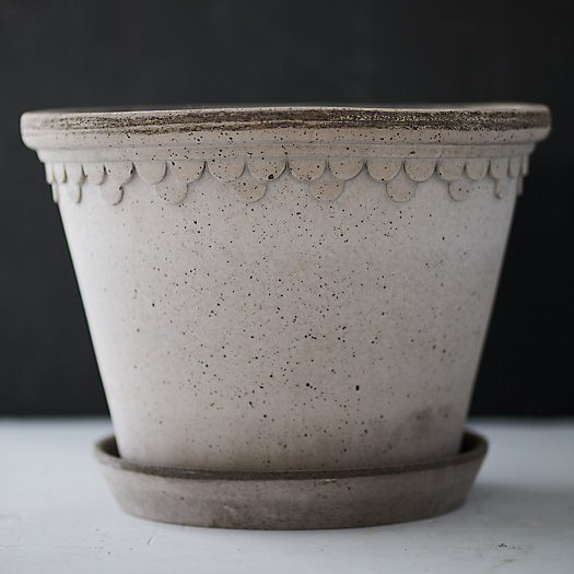 Bergs Palace Pot + Saucer | Terrain