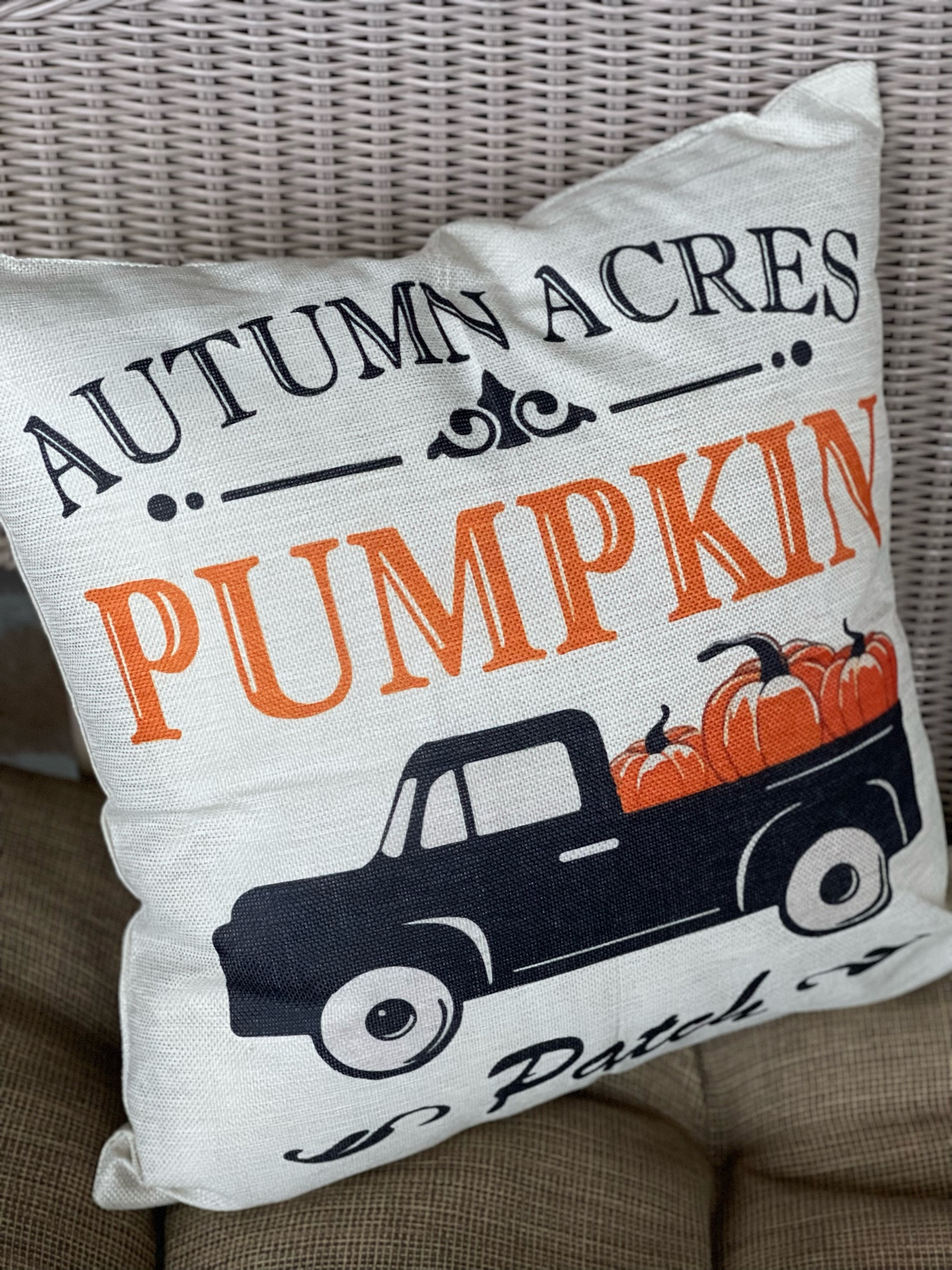 Fall Outdoor Pillow Covers🎃

#TheLifestylepassport.com

#LTKhome #LTKSeasonal #LTKHalloween