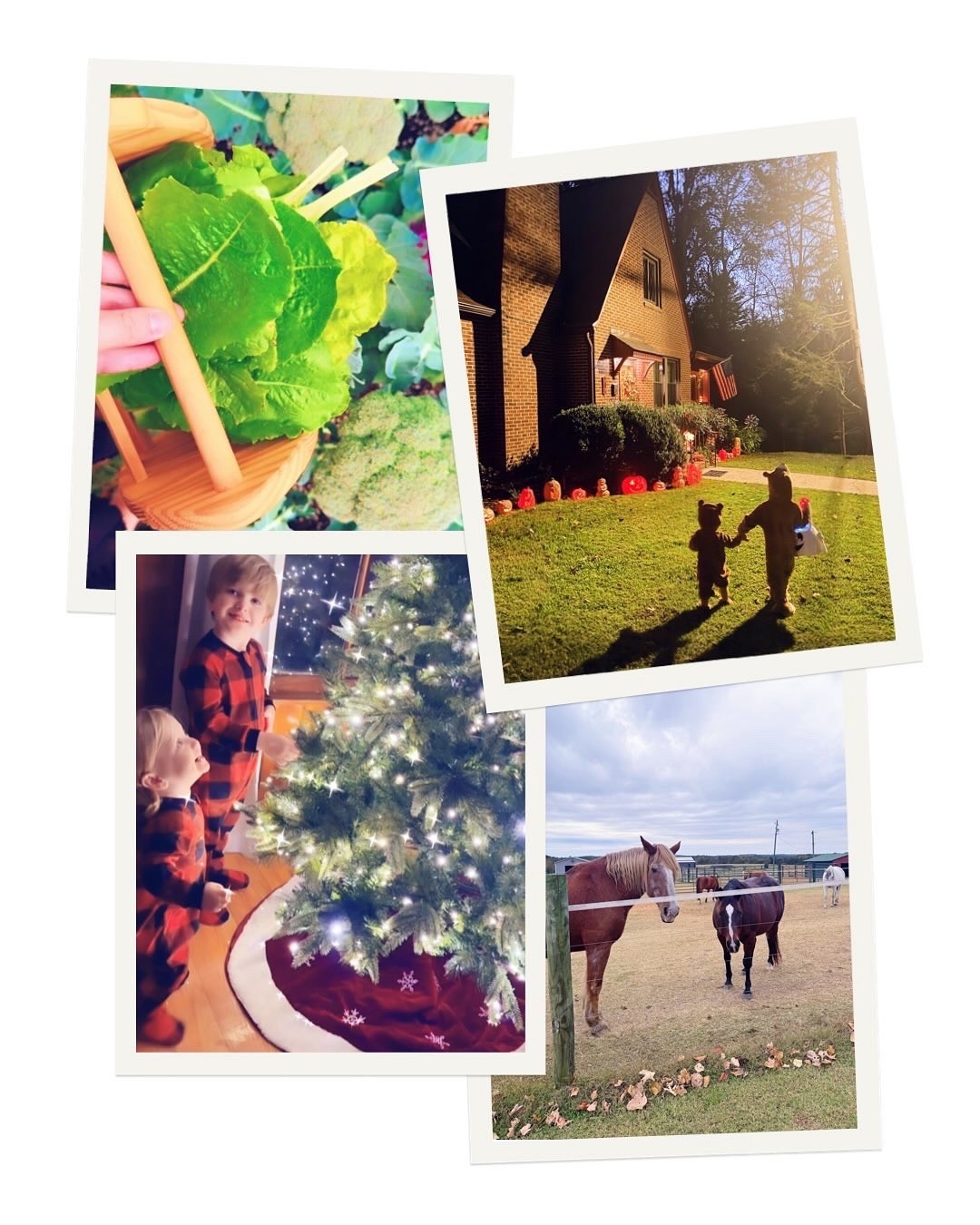 Truly just been such a special and exciting weekend for our family 🥹🫶🏽✨ - more than we could ask, dream, or imagine!!! ✝️🎄 From Halloween night trick-or-treating 🍭 with our adorable little bears 🧸🎃🐻 to decorating our little Christmas cottage 🏡 for the holidays 🎅🏻🦌🕯️ to celebrating a sweet little friend’s birthday 🎉 party 🎈 to fetching fresh home-grown 🥦 vegetables 🥗 from the garden 🪴 for Sunday lunch 🫶🏽, and so much more 🤭 (eek!! 💭) … it sure has been a weekend to remember!! 🌲❤️ Hearts so full of gratitude as we head into November with so many blessings and gifts from God!! 🕯️✨ #hellonovember #themostwonderfultimeoftheyear 

“Now to him who is able to do immeasurably more than all we ask or imagine, according to his power that is at work within us, to him be glory in the church and in Christ Jesus throughout all generations, for ever and ever! Amen.” // Ephesians 3:20-21 ✨ #mywholelifeisagodstory #immeasurablymore 

All I can say is… God gives us dreams 💭 for a reason and we can trust HIM to bring them to fruition!! 🙏🏽🫶🏽🐴❤️ God gets ALL the glory ✨ and we are just so excited for all that this Christmas and New Years holds in store!!!! 🤭🚜🏡🌾 #themabryfarm #thebestisyettocome #godsplansarebetterthanmine #chaseyourdreamsandliveonpurpose #godsizeddreams 

| Motherhood | Country Living | Homemaker | Stay at Home Mom | Joyful Motherhood | Faith | Baby and Toddler Days | Boy Mama x 2 | SAHM | These are the Days | Life with a Baby and Toddler | Full Hands Fuller Hearts | November Memories | Holiday Season with Littles | Christmas Decor | Christmas with Littles

…

#emilysayswes #judsoncarpentermabry #levirhettmabry #familyoffour #mommyblogger #stayathomemommy #boymamax2 #mommyblogger #sahm #mamaoftwo #stayathomemom #novembermemories #LTKfamily #LTKBaby @shop.ltk

#LTKHoliday #LTKSeasonal