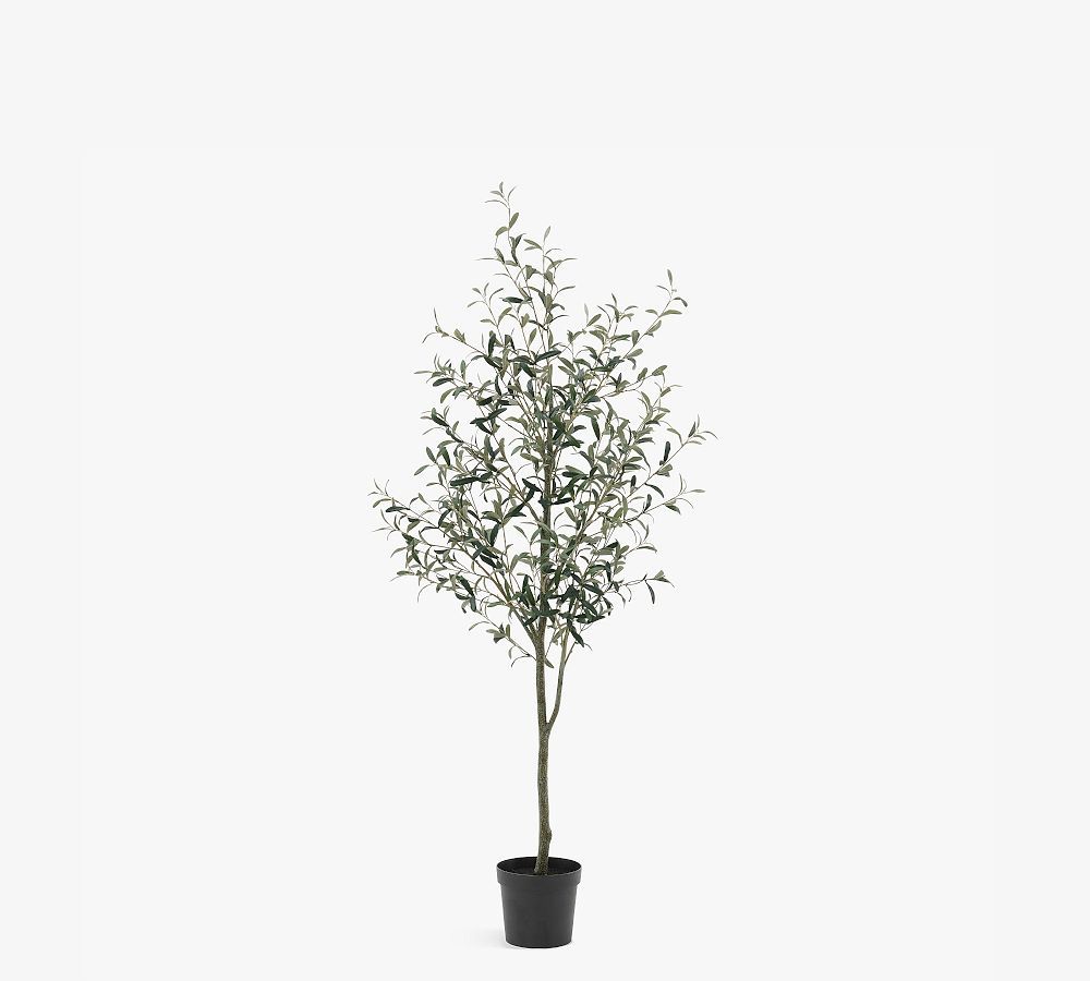 Faux Olive Trees | Pottery Barn (US)