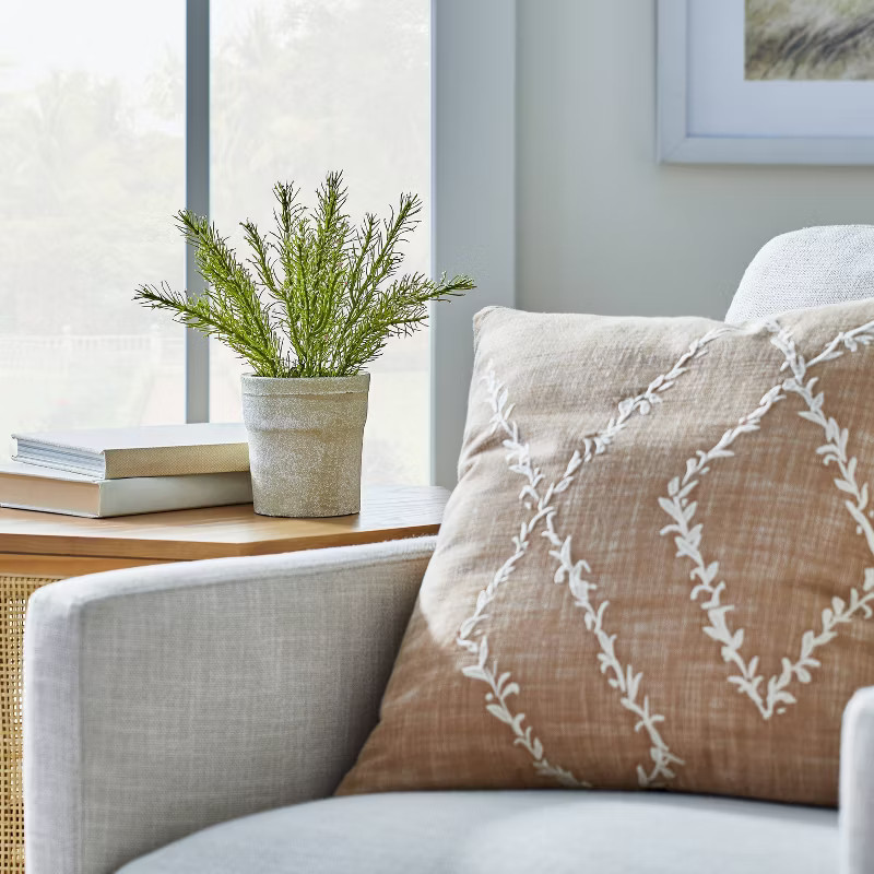 Flowering Rosemary Potted - Threshold™ designed with Studio McGee | Target