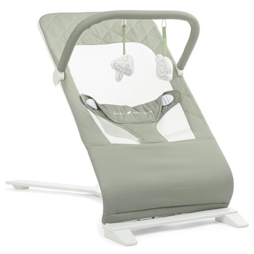 Baby Delight Alpine Deluxe Portable Baby Bouncer | Infant | 0-6 Months | 100% GOTS Certified Organic Cotton Fabric | Organic Sage | Amazon (US)