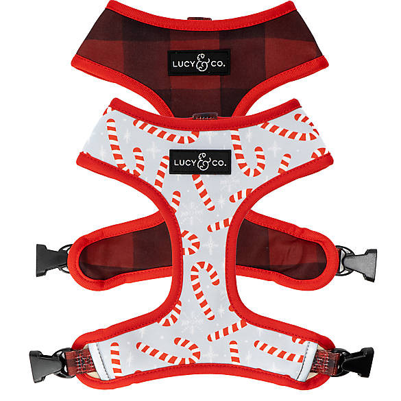 Lucy & Co. Holiday Candy Cane Lane Reversible Dog Harness | PetSmart