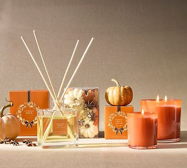 Pumpkin Spice Diffuser - 9.75 oz | Pottery Barn (US)