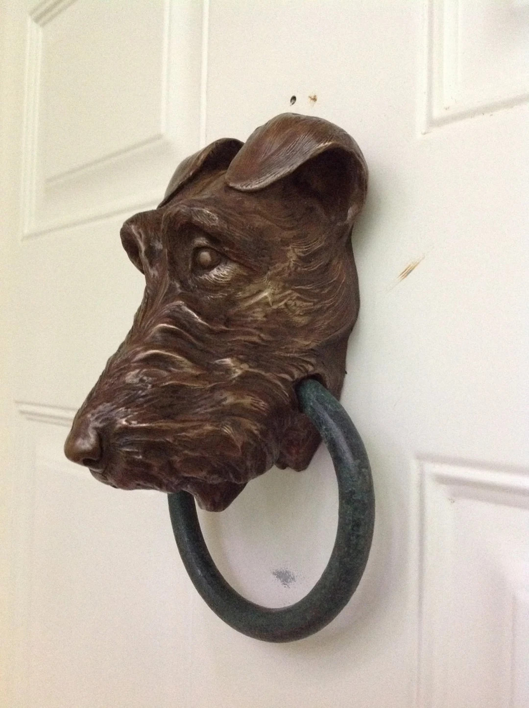 Irish Terrier Doorknocker - Etsy | Etsy (US)