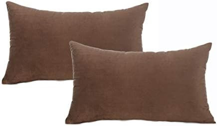 DEZENE Decorative Pillow Cases 18x18 Chocolate Brown: 2 Pack Cozy Soft Velvet Square Throw Pillow... | Amazon (US)