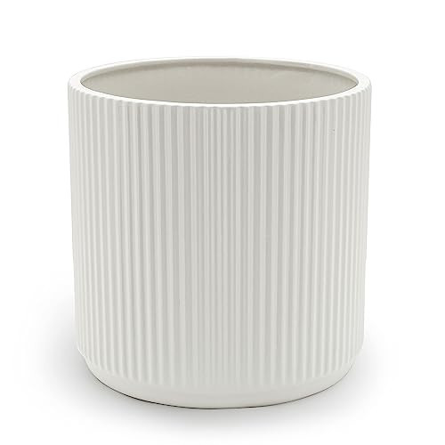 Amazon Basics Fluted Ceramic Round Planter, 10 in, White | Amazon (US)