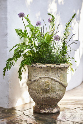 Barnacle French Urn | Terrain