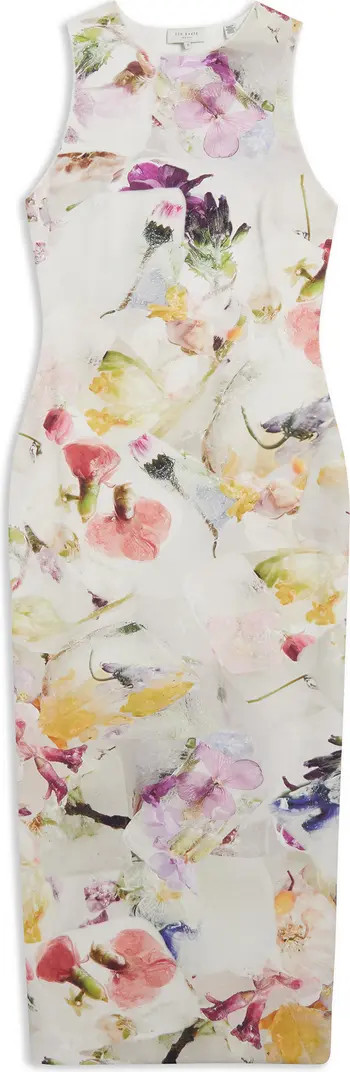 Ted Baker London Lilyha Floral Sleeveless Scuba Dress | Nordstrom | Nordstrom