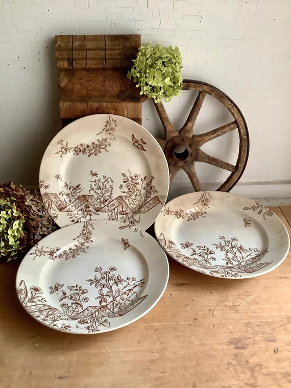 Antique English Transferware Plate Aesthetic Floral Botanical - Etsy | Etsy (US)