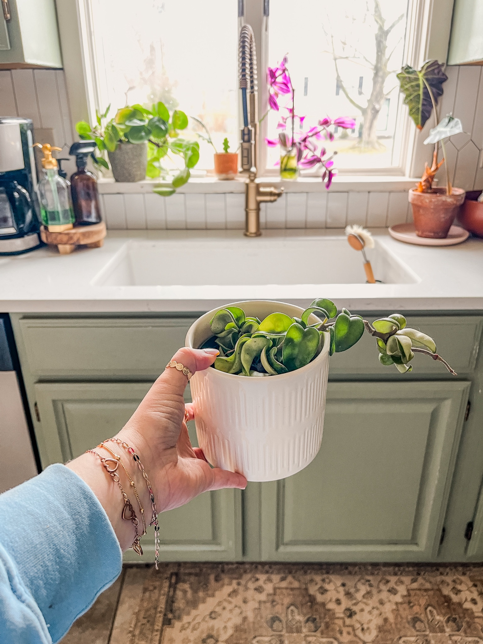 Hoya Hindu rope plants are so fun 



#LTKhome #LTKfindsunder50 #LTKstyletip