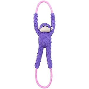 ZippyPaws - Monkey RopeTugz, Squeaky and Plush Rope Tug Dog Toy | Amazon (US)