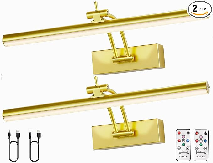 2 Pack Picture Light for Wall Battery Operated, Wireless Display Art Lighting 12" for Painting wi... | Amazon (US)