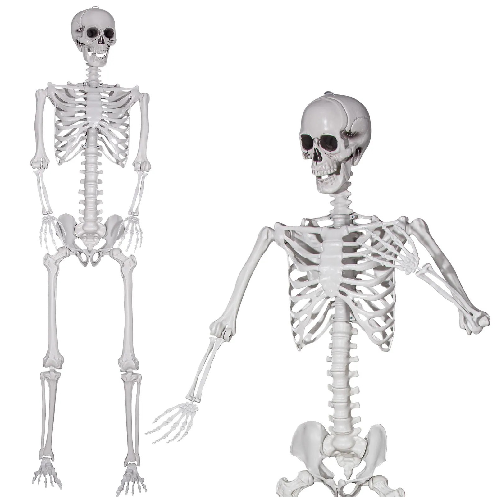 Afoxsos 7.8ft Halloween Giant Skeleton Posable Realistic Human Skeleton Bones with Movable Joints for Indoor Outdoor Halloween D cor | LAF0814F196 | Lowe's