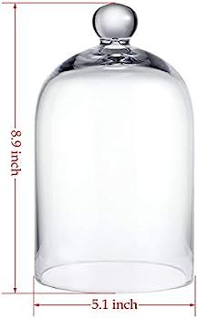 5.1"X8.9" Clear Glass Display Dome Cloche Bell Jar Tabletop Decorative Case covered plants/food | Amazon (US)