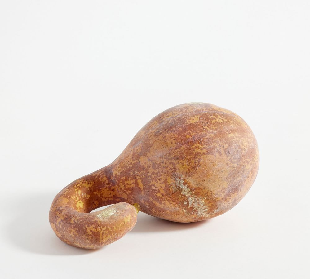 16.99 | Pottery Barn (US)