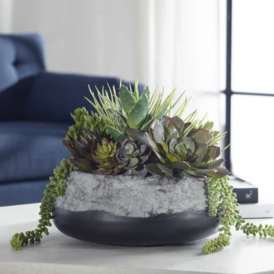 GODI SUCCULENT CENTERPIECE | Wayfair Professional