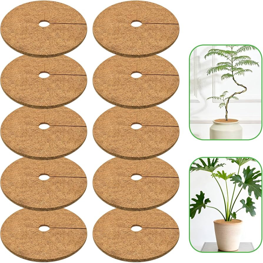 ZeeDix 10 Pack Coconut Fiber Mulch Ring, 9 Inch Coco Coir Tree Ring Mulch Mat, 100% Natural Tree ... | Amazon (US)